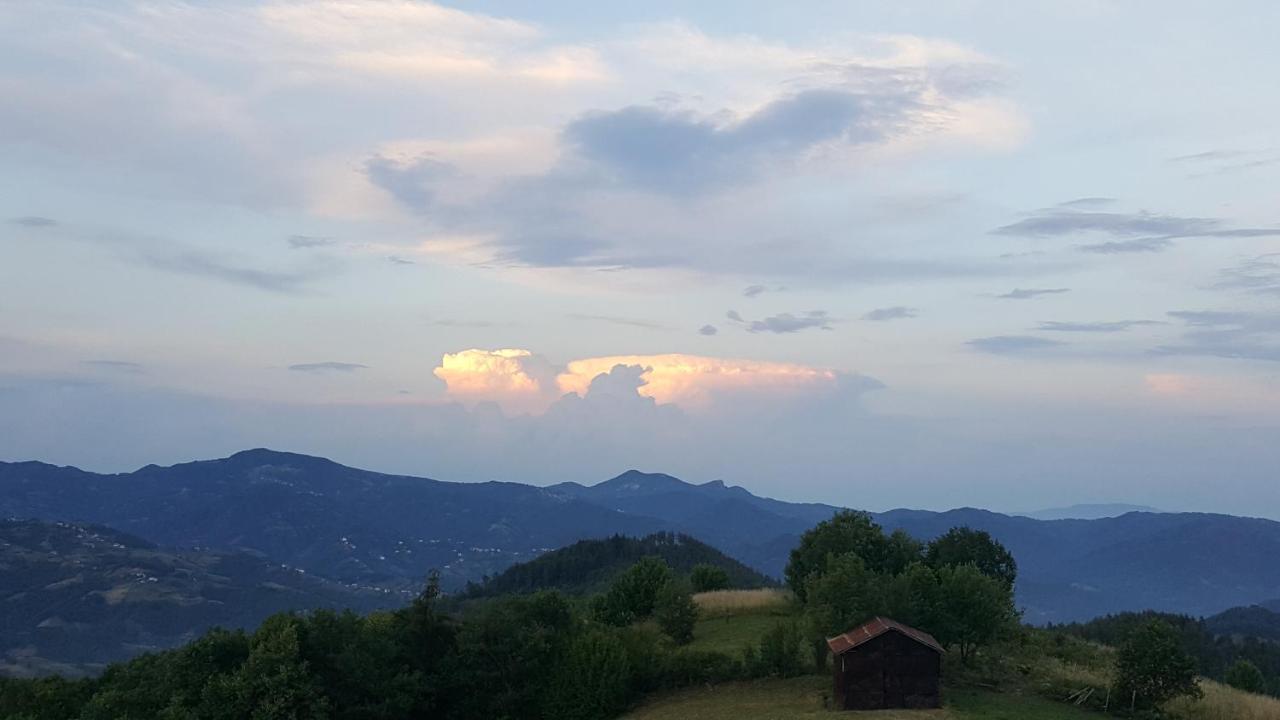 Karadzhovata Kashta Otel Darıdere Dış mekan fotoğraf